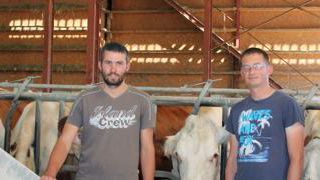 Florian, Damien et Sylvain Perrault distribuent quotidiennement un aliment aplati produit sur la ferme.Denis Lehé Florian, Damien et Sylvain Perrault distribuent quotidiennement un aliment aplati produit sur la ferme.Denis Lehé